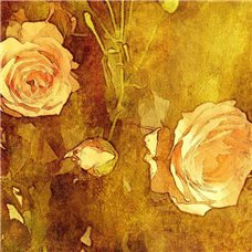 Картина на холсте по фото Модульные картины Печать портретов на холсте Желтые розы - Фотообои Арт