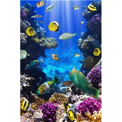 Морское дно - Фотообои Море|подводный мир - Модульная картины, Репродукции, Декоративные панно, Декор стен