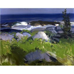 Лоза на берегу Монегана