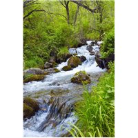 Горный ручей - Фотообои природа|реки