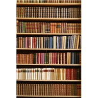 Книжный шкаф - Фотообои Интерьеры