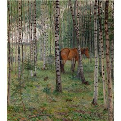 Лошадь в березовой роще
