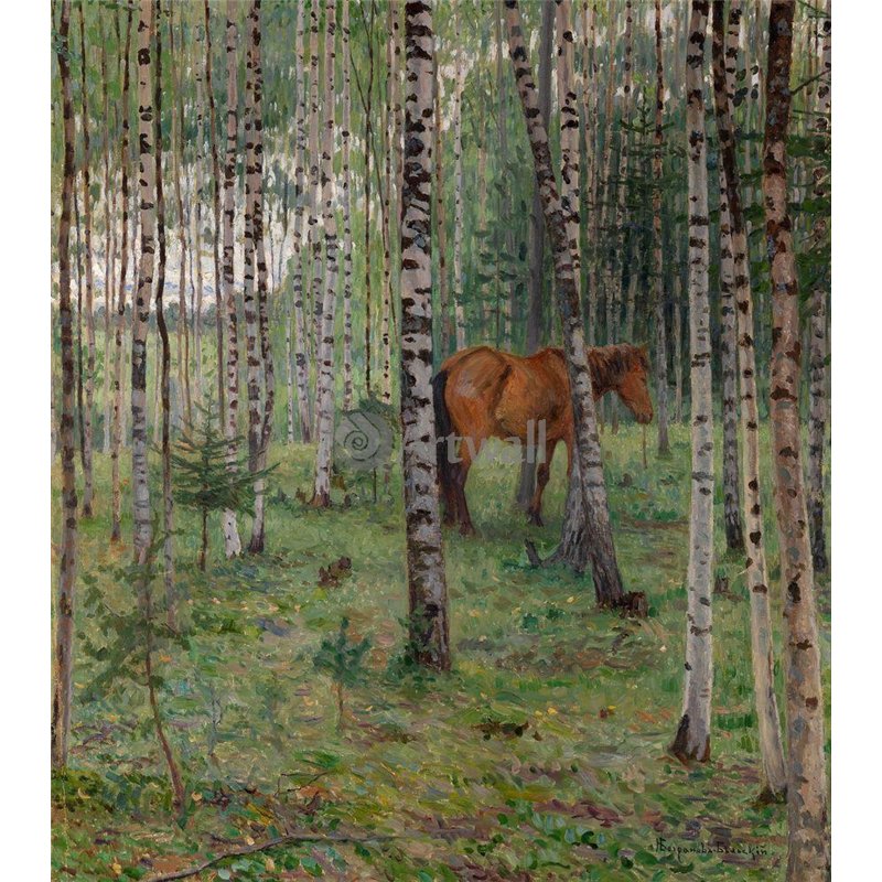Лошадь в березовой роще