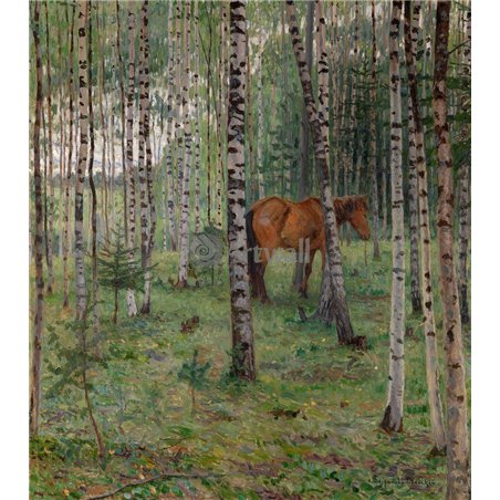 Лошадь в березовой роще
