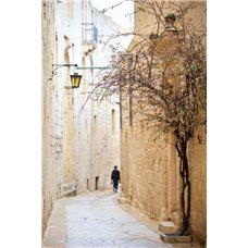 Картина на холсте по фото Модульные картины Печать портретов на холсте Улочка на Мальте - Фотообои Расширяющие пространство