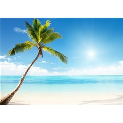 Пальма на берегу моря - Фотообои Море|пляж - Модульная картины, Репродукции, Декоративные панно, Декор стен