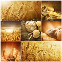 Хлеб - Фотообои Еда и напитки|еда - Модульная картины, Репродукции, Декоративные панно, Декор стен