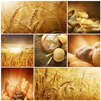 Хлеб - Фотообои Еда и напитки|еда