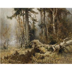Лес ранним утром