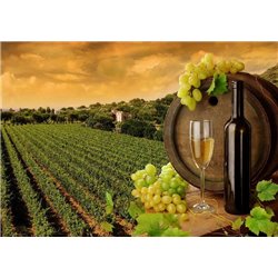 Виноградники и вино - Фотообои Еда и напитки|вино - Модульная картины, Репродукции, Декоративные панно, Декор стен