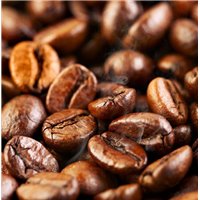 Свежие кофейные зерна - Фотообои Еда и напитки|кофе