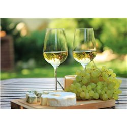 Вино с сыром и виноградом - Фотообои Еда и напитки|вино - Модульная картины, Репродукции, Декоративные панно, Декор стен
