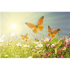 Картина на холсте по фото Модульные картины Печать портретов на холсте Бабочки над цветами - Фотообои природа|бабочки