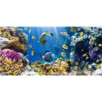 Морское дно - Фотообои Море|подводный мир