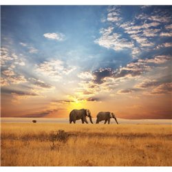 Слоны идущие во время заката - Фотообои Животные|слоны - Модульная картины, Репродукции, Декоративные панно, Декор стен