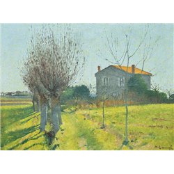 Ивовая аллея