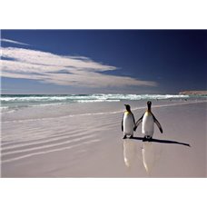 Картина на холсте по фото Модульные картины Печать портретов на холсте Пингвины - Фотообои Животные|морской мир