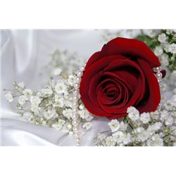Бордовая роза - Фотообои цветы|розы - Модульная картины, Репродукции, Декоративные панно, Декор стен
