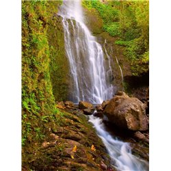Горный водопад - Фотообои водопады - Модульная картины, Репродукции, Декоративные панно, Декор стен