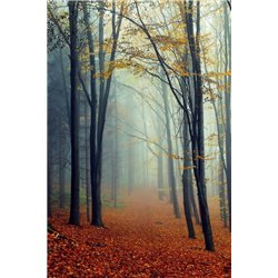 Осенний лес - Фотообои на двери - Модульная картины, Репродукции, Декоративные панно, Декор стен