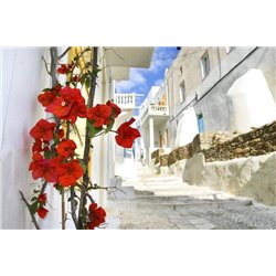 Санторини - Фотообои Старый город|Греция - Модульная картины, Репродукции, Декоративные панно, Декор стен