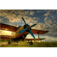 Самолет с пропеллером - Фотообои Техника и транспорт|самолёты