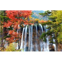 Водопад в осеннем лесу - Фотообои водопады