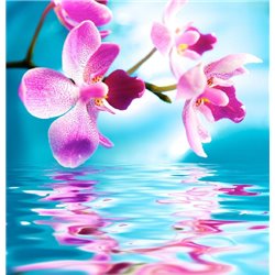Отражение - Фотообои цветы|орхидеи - Модульная картины, Репродукции, Декоративные панно, Декор стен