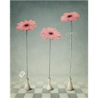 Три герберы в вазах - Фотообои цветы|герберы