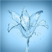 Цветок из воды - Фотообои Еда и напитки|напитки