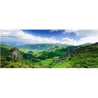 Зеленая трава в горах - Фотообои горы