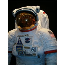 Картина на холсте по фото Модульные картины Печать портретов на холсте Американский космонавт - Фотообои Космос
