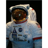 Портреты картины репродукции на заказ - Американский космонавт - Фотообои Космос