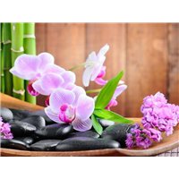 Камешки и орхидея - Фотообои цветы|сирень