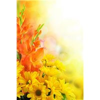 Цветущее поле - Фотообои цветы|другие