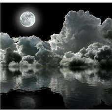 Картина на холсте по фото Модульные картины Печать портретов на холсте Полная луна - Черно-белые фотообои