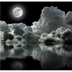Полная луна - Черно-белые фотообои - Модульная картины, Репродукции, Декоративные панно, Декор стен