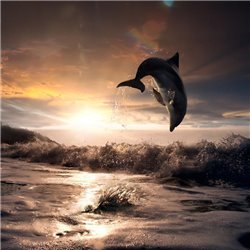 Дельфин - Фотообои Животные|морской мир - Модульная картины, Репродукции, Декоративные панно, Декор стен