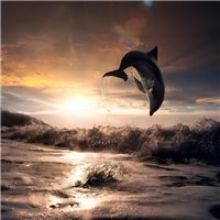 Портреты картины репродукции на заказ - Дельфин - Фотообои Животные|морской мир