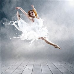 Балерина - Фотообои люди|девушки - Модульная картины, Репродукции, Декоративные панно, Декор стен