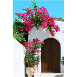 Цветы у входа - Фотообои Старый город|Греция - Модульная картины, Репродукции, Декоративные панно, Декор стен