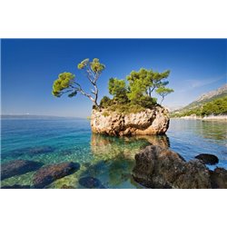 Дерево на камне - Фотообои Море|побережье - Модульная картины, Репродукции, Декоративные панно, Декор стен