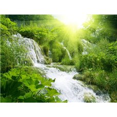 Картина на холсте по фото Модульные картины Печать портретов на холсте Водопад в зеленом лесу - Фотообои водопады