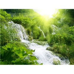 Водопад в зеленом лесу - Фотообои водопады - Модульная картины, Репродукции, Декоративные панно, Декор стен