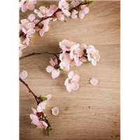 Ветка с цветами на полу - Фотообои цветы|сакура