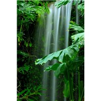 Портреты картины репродукции на заказ - Водопад в зеленом лесу - Фотообои водопады