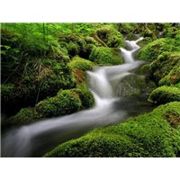 Горный ручей - Фотообои водопады