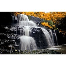 Картина на холсте по фото Модульные картины Печать портретов на холсте Водопад в осеннем лесу - Фотообои водопады