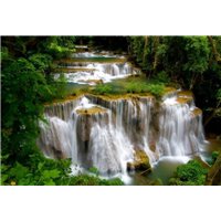Портреты картины репродукции на заказ - Каскадный водопад в зеленом лесу - Фотообои водопады