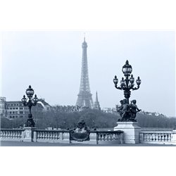 Вид на Эйфелеву башню - Черно-белые фотообои - Модульная картины, Репродукции, Декоративные панно, Декор стен